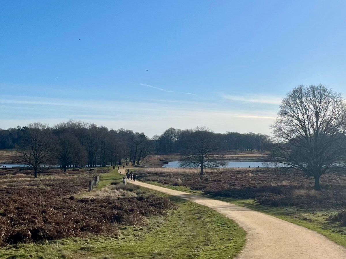 Capital Ring: Trail&nbsp;Journal