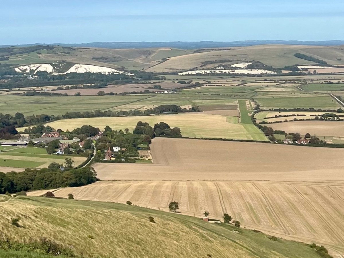 South Downs Way: Trail&nbsp;Journal