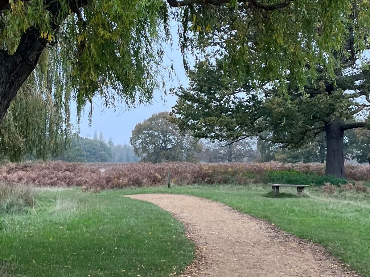 London Outer Orbital Path (LOOP):&nbsp;How-To