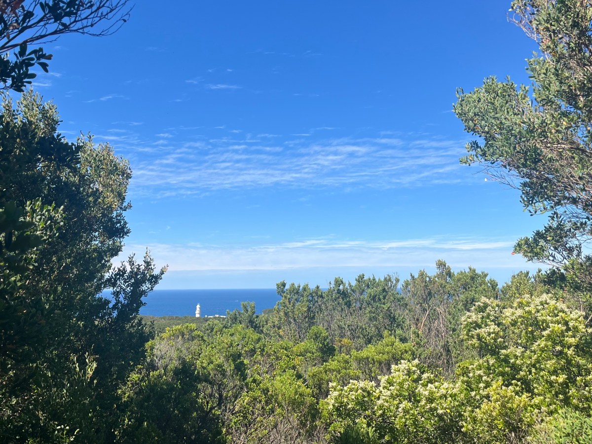 Great Ocean Walk:&nbsp;How-To